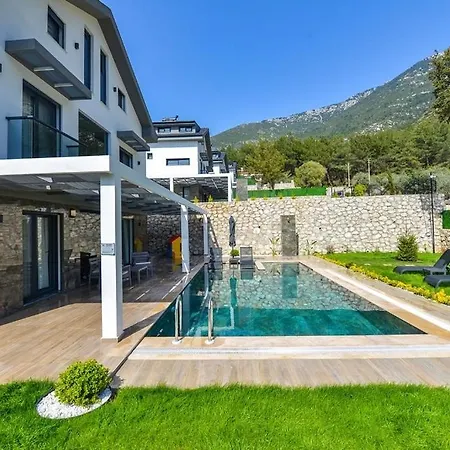 Luxury With Private Pool In Oeluedeniz, Vila